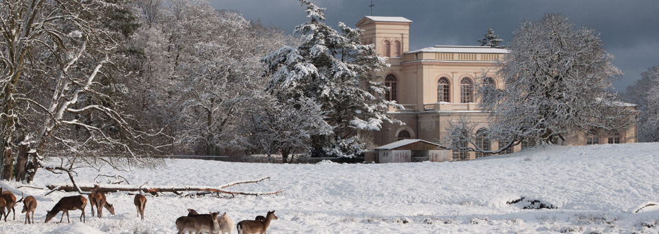 Schlosskirche Putbus im Winter